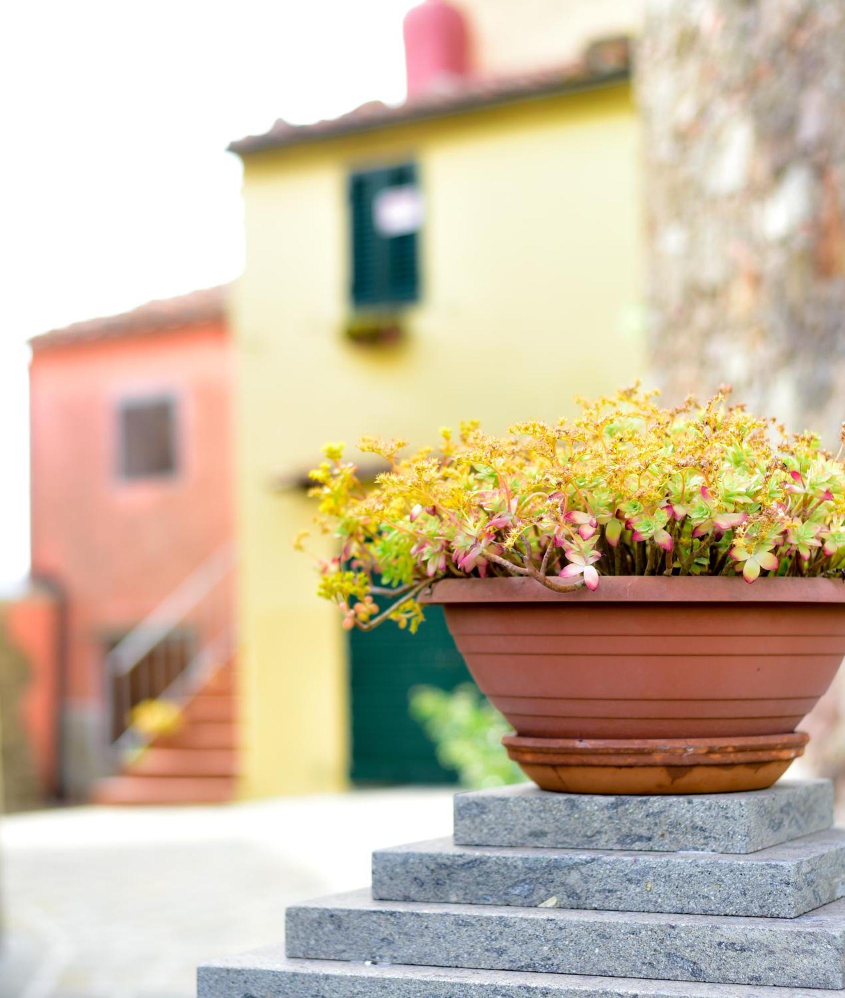 Agriturismo Castello Delle Fornaci - Private Jacuzzi Arcidosso Dış mekan fotoğraf